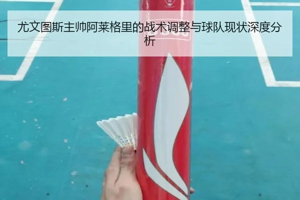 尤文图斯主帅阿莱格里的战术调整与球队现状深度分析